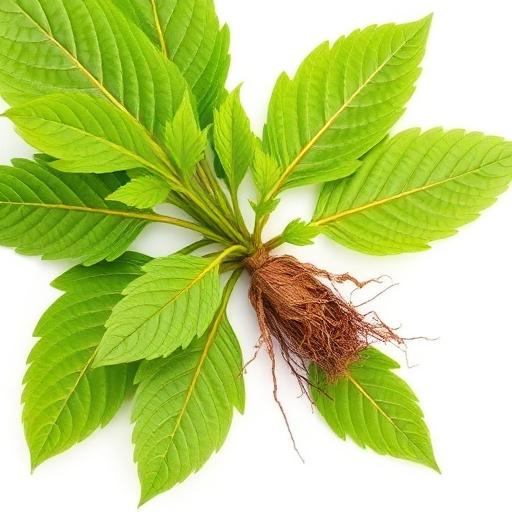 Natural Botanicals